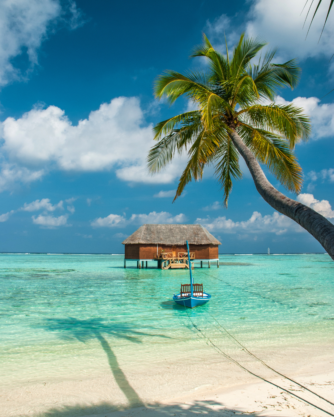 Sri Lanka i Malediwy